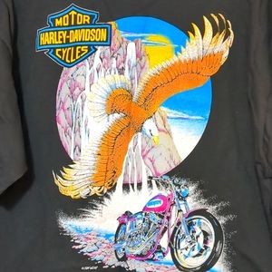 Harley-Davidson eagle on the cliff shirt xl